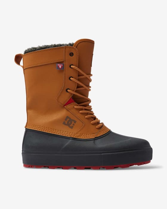 Botas DC Shoes Reach marrón claro negro