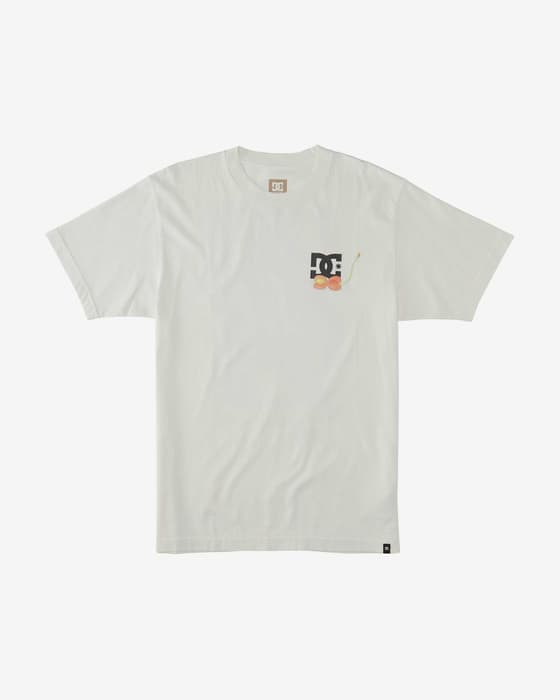 Camiseta DC Shoes Seed Planter manga corta blanco puro negro
