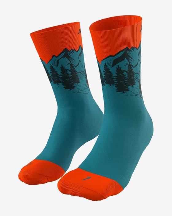 Dynafit Stay Fast Socks Blue Orange