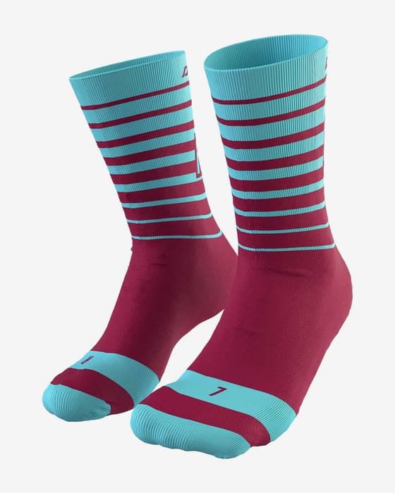 Calcetines Dynafit Live To Ride granate azul cielo