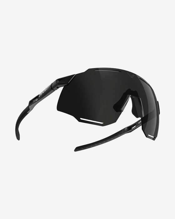 Gafas Dynafit Alpine negro con lentes Divel Cat 3 negro