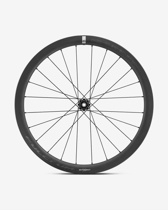 Roda traseira Fulcrum Speed 42 Carbon Disc Center Lock Eixo passante 12x142 mm