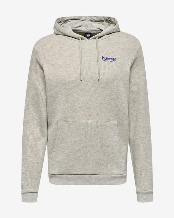 Sudadera con capucha Hummel LGC Austin gris