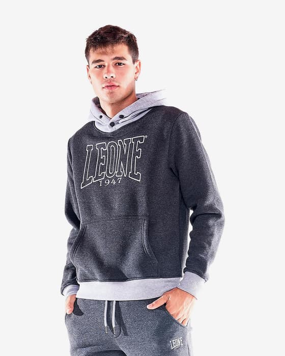 Sudadera con capucha Leone 1947 Work Leisure gris oscuro gris claro