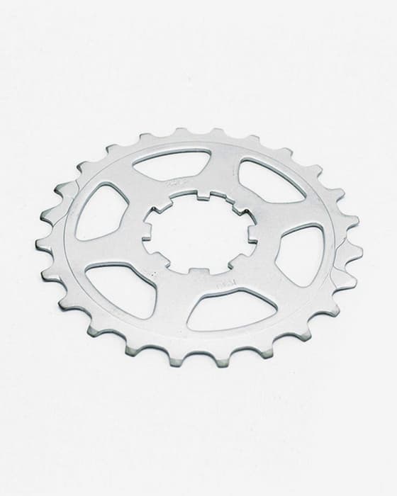 Corona Miche 11V para Campagnolo (polivalente)