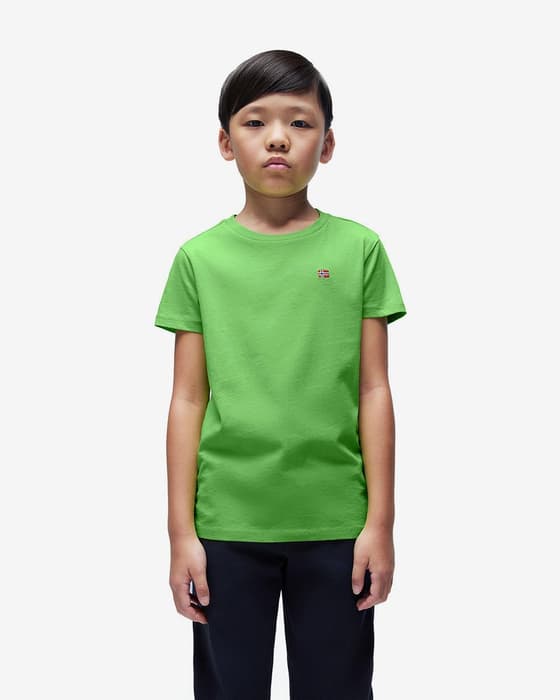 Napapijri Salis 2 Short Sleeve T-shirt green Kids