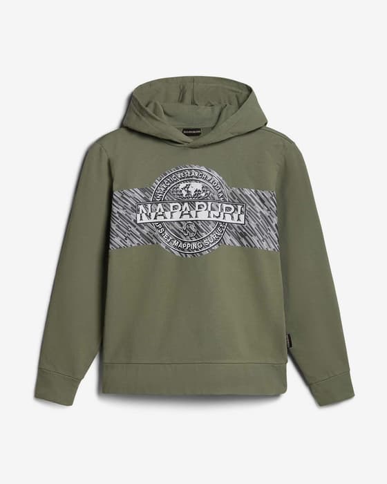 Sudadera con capucha Napapijri Pinzon verde infantil