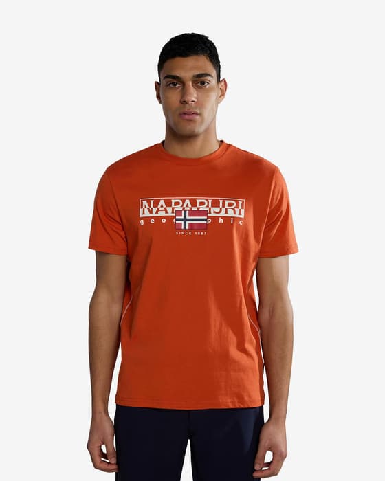 Camiseta Napapijri Aylmer manga corta naranja mate