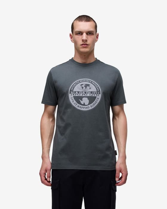 Napapijri Bollo Short Sleeve T-shirt dark green white