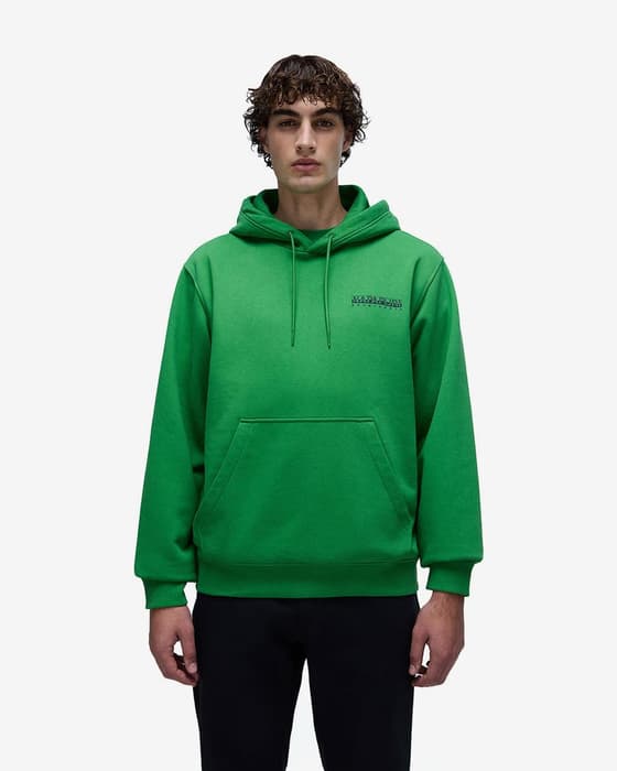Sudadera con capucha Napapijri Linth verde negro
