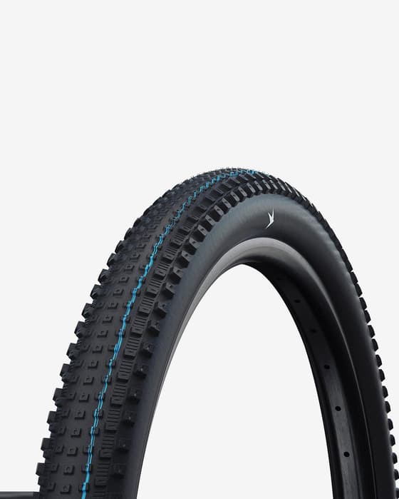 Cubierta Schwalbe Rick Evo XC Pro Tubeless Ready negro