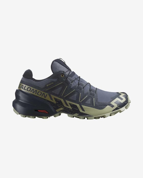 Zapatillas Salomon Speedcross 6 GORE-TEX gris oscuro dorado