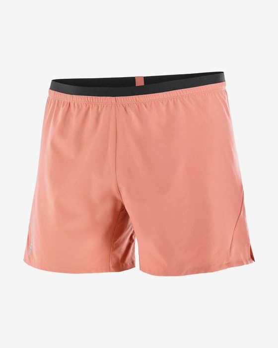 Pantalón corto Salomon Cross 5" rosa