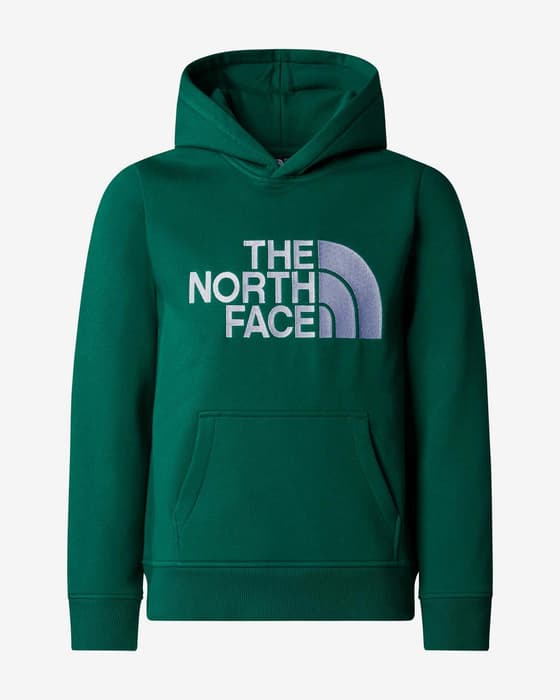 Sudadera con capucha The North Face Drew Peak verde oscuro logo gris niño