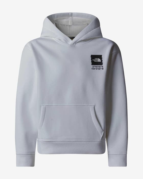 Sudadera con capucha The North Face Coordinates Graphic blanco negro niño