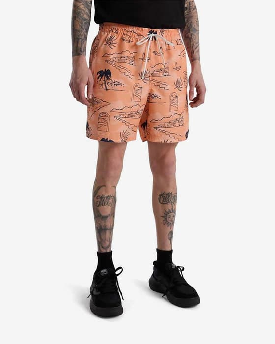 Bañador Vans Primary Print naranja negro