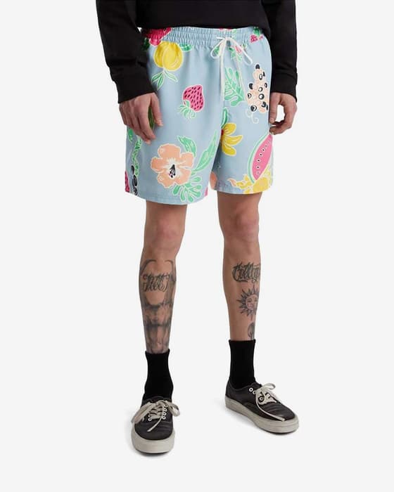 Bañador Vans Primary Print azul