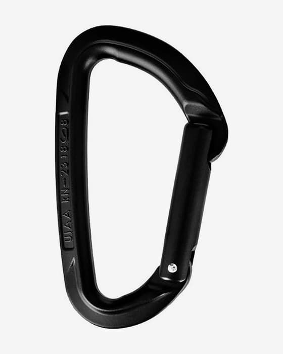 Mosquetón Wild Country Session Straight Gate negro