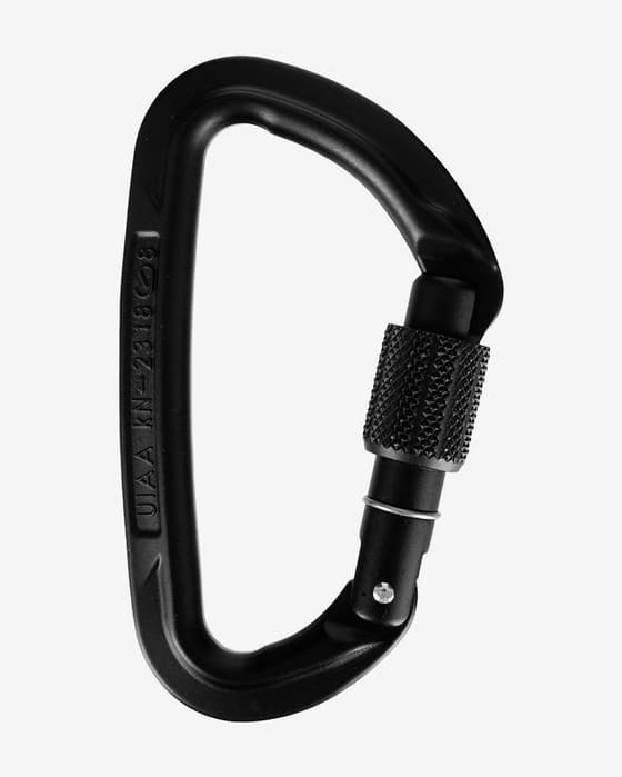 Mosquetón Wild Country Session Screw Gate negro