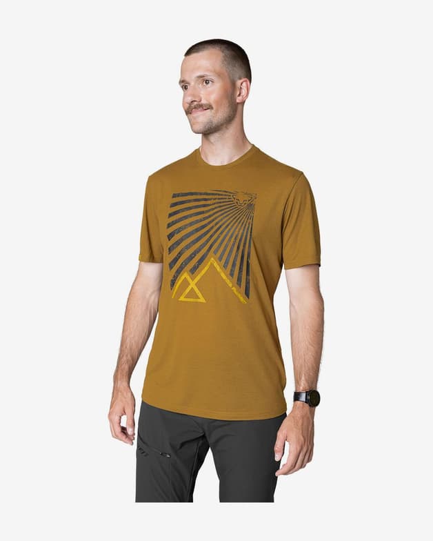 Camiseta Dynafit Transalper Graphic manga corta marrón - #4