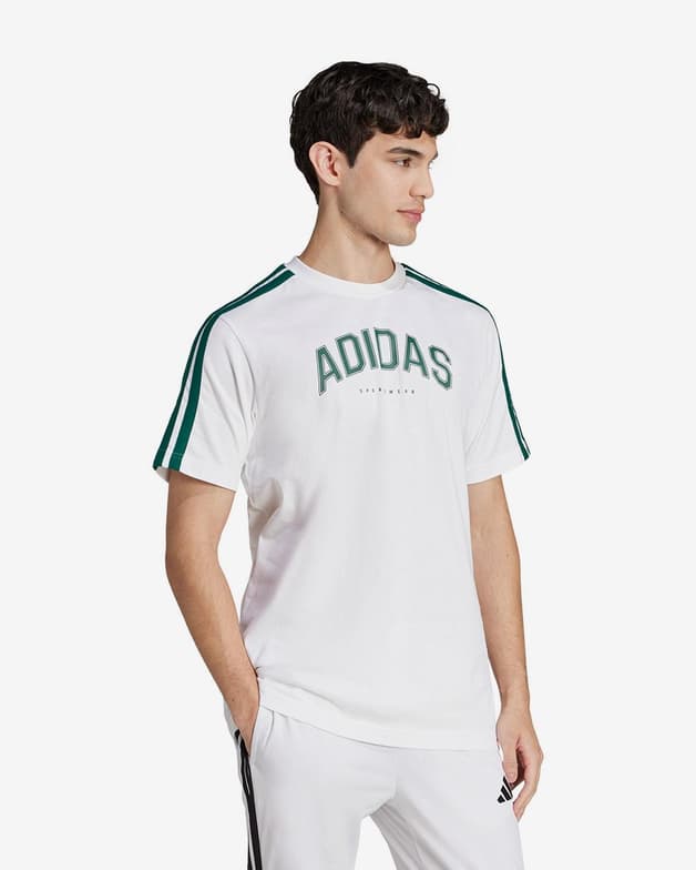 Camiseta adidas Codes Collegiate Linear Graphic manga corta blanco verde - #1