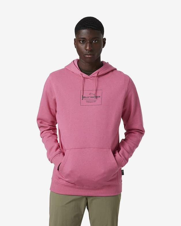 Sudadera con capucha Helly Hansen F2F Cotton rosa - #5