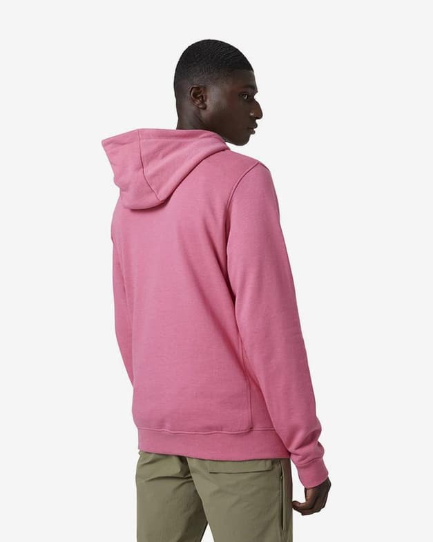 Sudadera con capucha Helly Hansen F2F Cotton rosa - #6