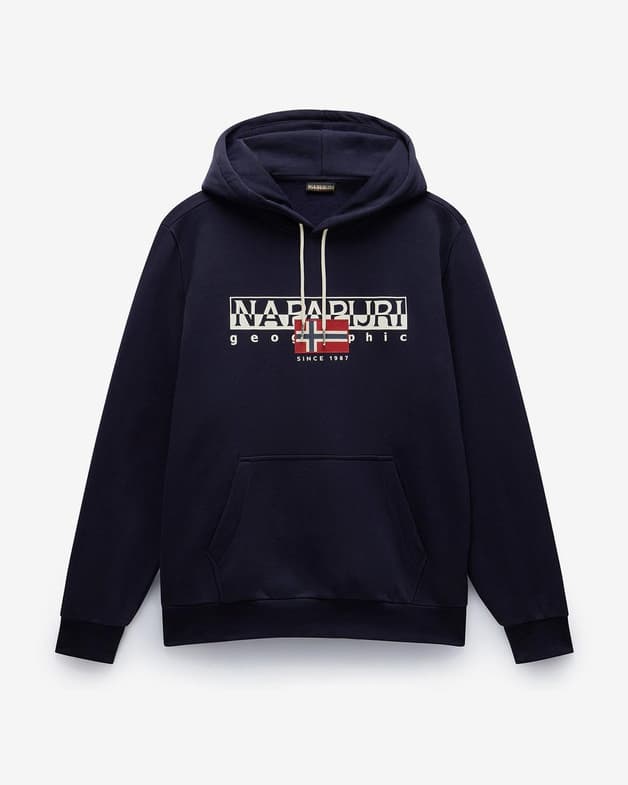 Sudadera con capucha Napapijri Aylmer Winter azul oscuro - #2