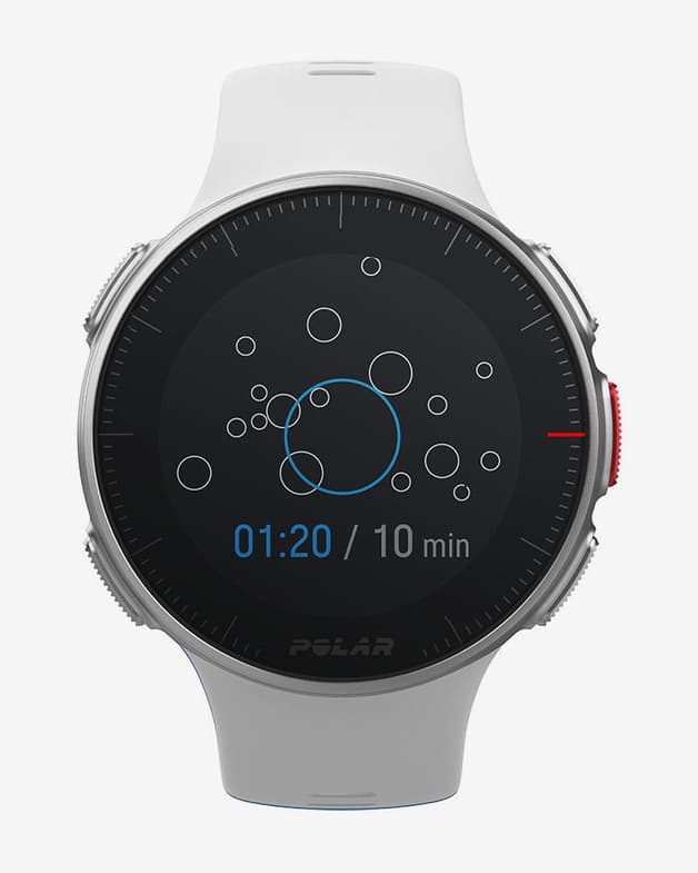 Pulsómetro GPS Polar Vantage V blanco - #4