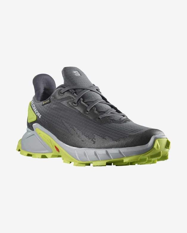 Zapatillas Salomon Alphacross 4 GORE-TEX gris oscuro lima - #1