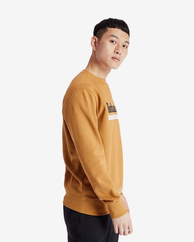 Sudadera Timberland YC Established 1973 Crewneck naranja - #5