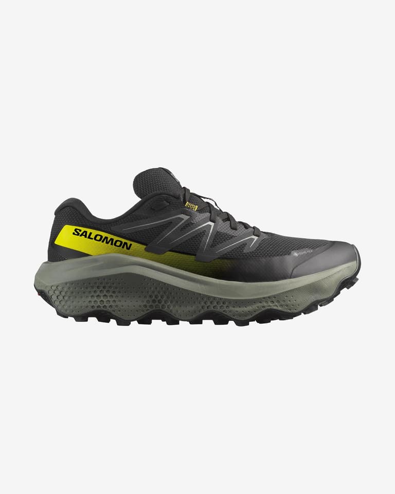 Salomon Ultra Flow 2 GORE-TEX shoes | Deporvillage