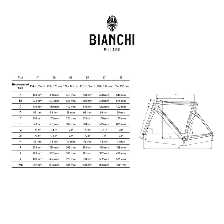 Bianchi 2021 Sprint Diskフレーム　サイズ 57 Bianchi 2021 Sprint Diskフレーム サイズ 57